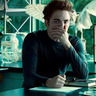 Preorder: Edward Thinks Bella Stinks, a Sun Catcher