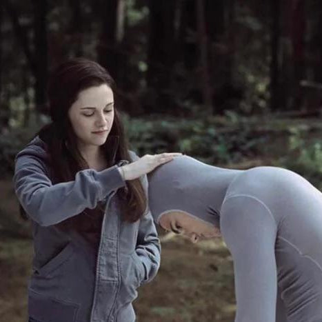 Sun Catcher of Bella and Jacob